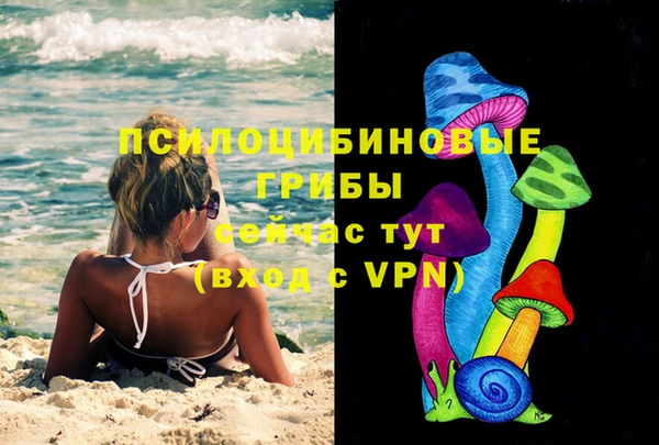 мескалин Медвежьегорск