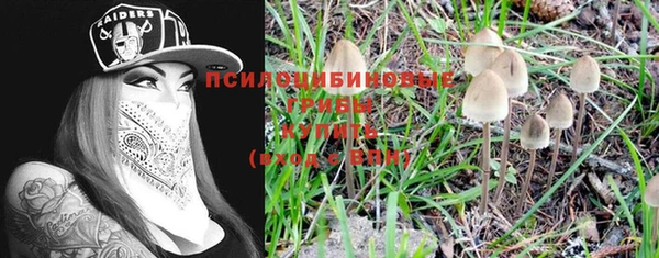 COCAINE Медногорск
