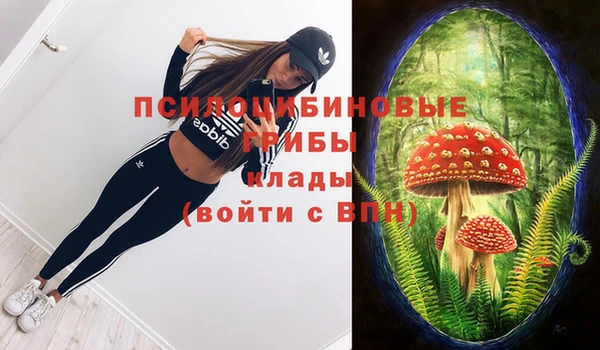 COCAINE Медногорск
